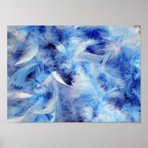 Fluffy Feathers Poster