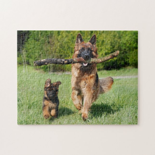 Fluffy German Shepherd Hund and Puppy Pussel (Horisontell)