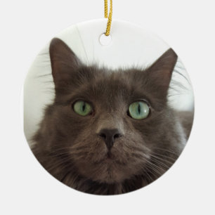 Fluffy Grått cat Julgransprydnad Keramik