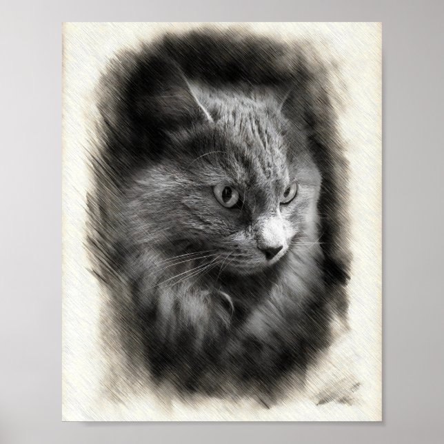 Fluffy Gray Cat Sketch - Soft Feline Portrait Art  Poster (Framsidan)