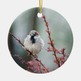 Fluffy Grump Julgransprydnad Keramik