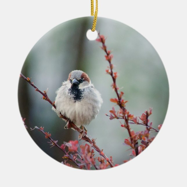 Fluffy Grump Julgransprydnad Keramik (Framsidan)