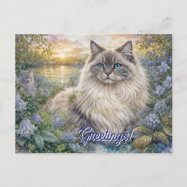 Fluffy Himalayan Cat In Purple Garden at Sunrise Vykort (Framsida)