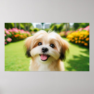 Fluffy Hund med Big Ögon | Glatt Pet-bild Poster