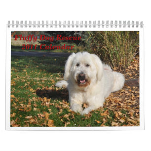 Fluffy Hund Rädding Kalender