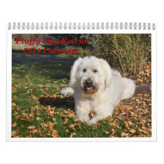Fluffy Hund Rädding Kalender