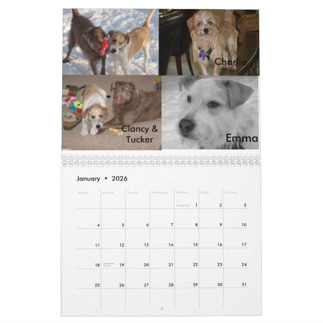 Fluffy Hund Rädding Kalender (Jan 2026)