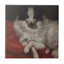 Fluffy Hund Sitta på en Cushion (Gustave Courbet)