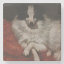 Fluffy Hund Sitta på en Cushion (Gustave Courbet)