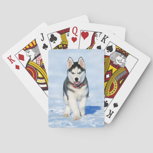 Fluffy Husky Puppy som springer i snö Casinokort (Baksidan)