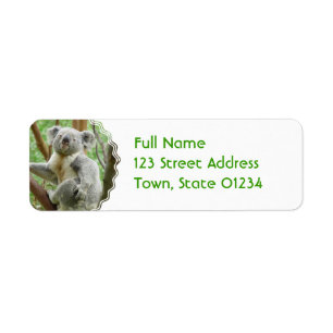 Fluffy Koala-segeletiketter Returadress Etikett