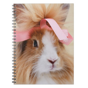 Fluffy Lionhead Bunny Rabbit Anteckningsbok