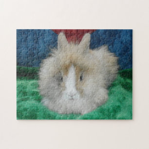 Fluffy Lionhead Bunny Rabbit Pussel