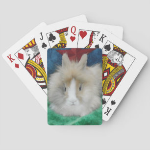 Fluffy Lionhead Bunny Rabbit Spelkort
