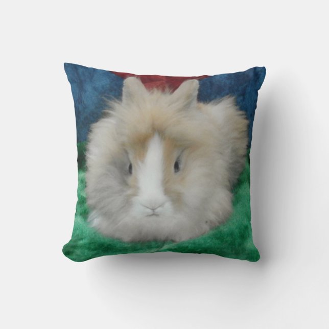Fluffy Lionhead Pet Bunny Rabbit Dekorativ kudde (Framsida)
