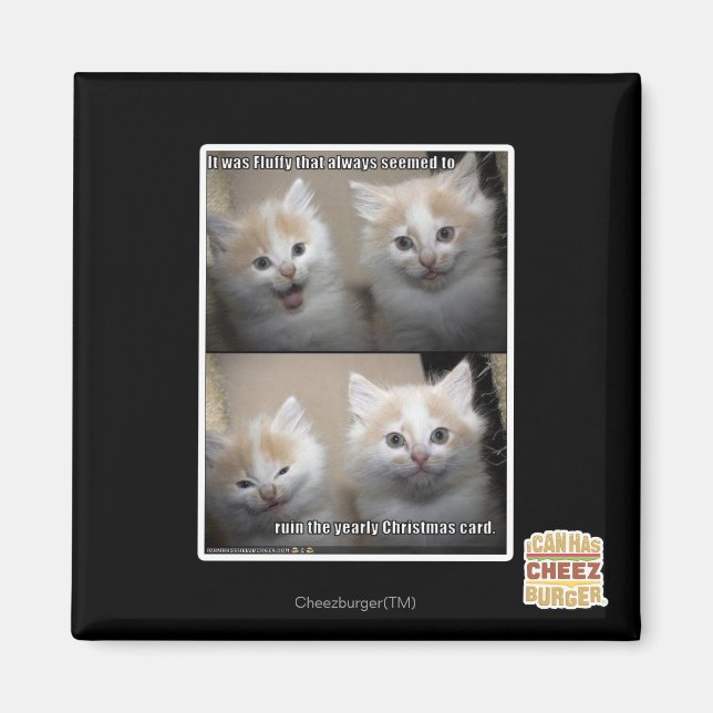 Fluffy Magnet (Framsidan)