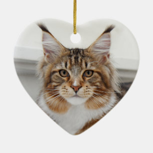 Fluffy Maine Coon Cat Julgransprydnad Keramik
