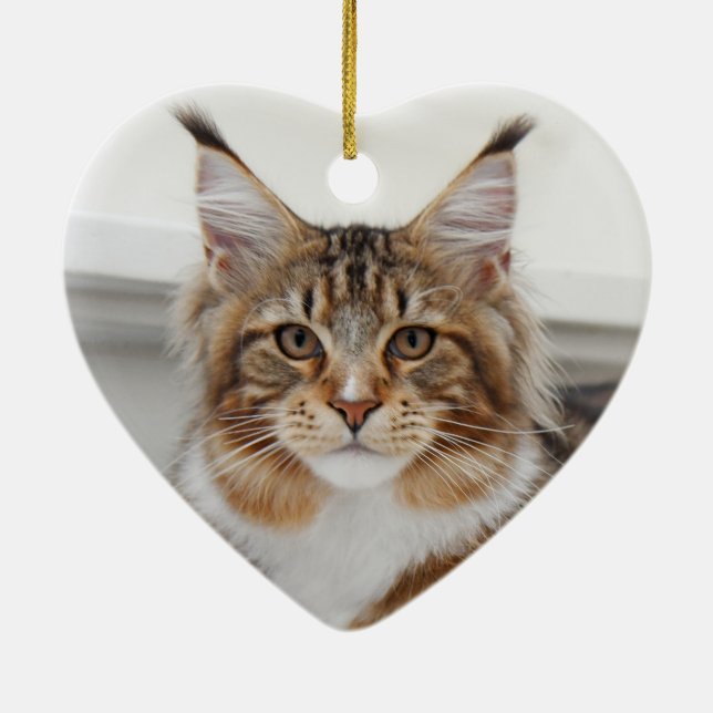 Fluffy Maine Coon Cat Julgransprydnad Keramik (Baksidan)