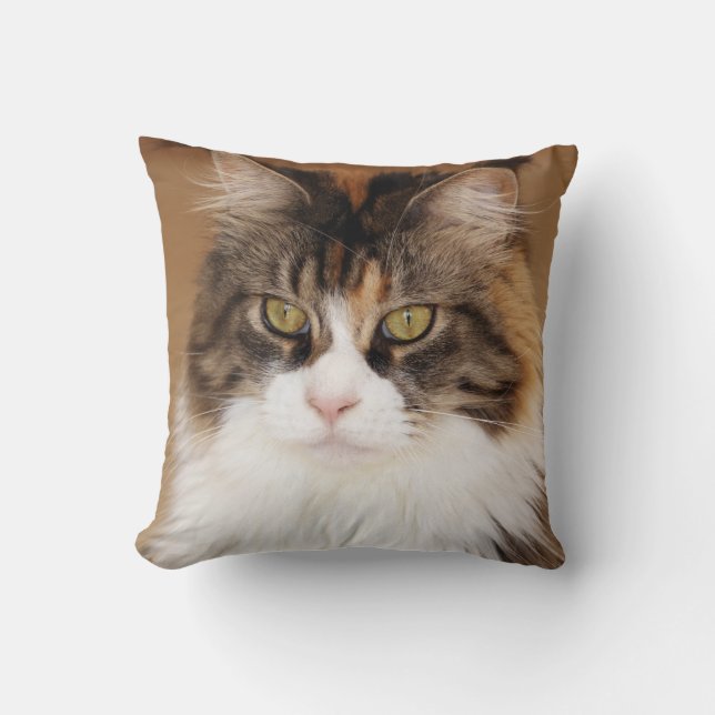 Fluffy Maine Coon Cat Kudde (Framsida)