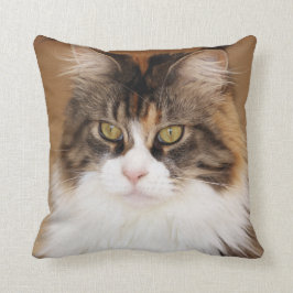 Fluffy Maine Coon Cat Kudde