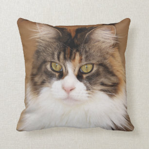 Fluffy Maine Coon Cat Kudde