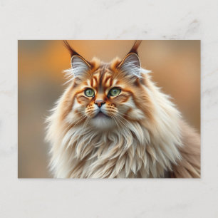 Fluffy Norway Forest Cat Porträtt Vykort