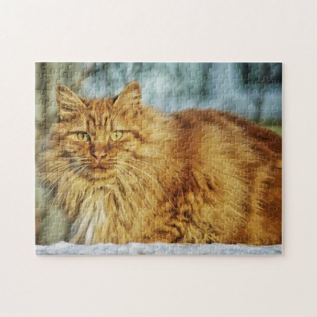 Fluffy Orange Tabby Maine Coon Cat Pussel (Horisontell)