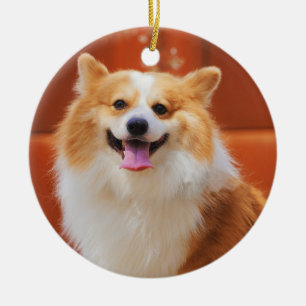 Fluffy Pembroke Welsh corgi Hund Julgransprydnad Keramik