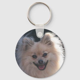 fluffy pomeranian hund nyckelring