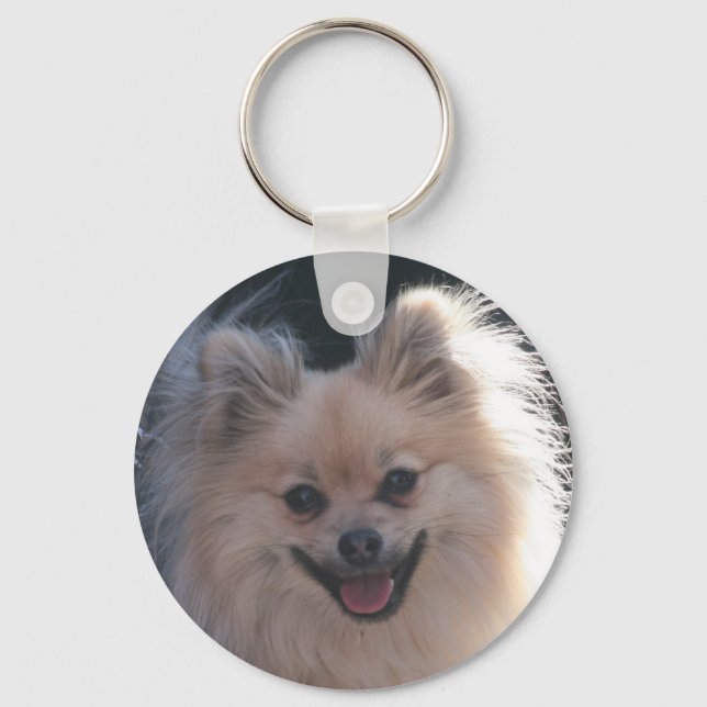 fluffy pomeranian hund nyckelring (Framsida)