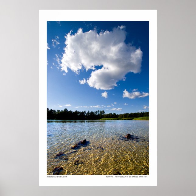 Fluffy Poster (Framsidan)