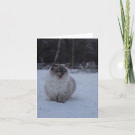 Fluffy Ragdoll Cat i hälsningskortet Snö Kort