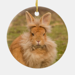 Fluffy Red Lionhead Bunny Rabbit Julgransprydnad Keramik