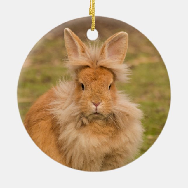 Fluffy Red Lionhead Bunny Rabbit Julgransprydnad Keramik (Baksidan)