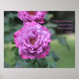 Fluffy Rosa ros Poster: RO och PROSE 20 x 16 Poster
