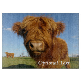 Fluffy Scottish Highland Cow - Blå himmel