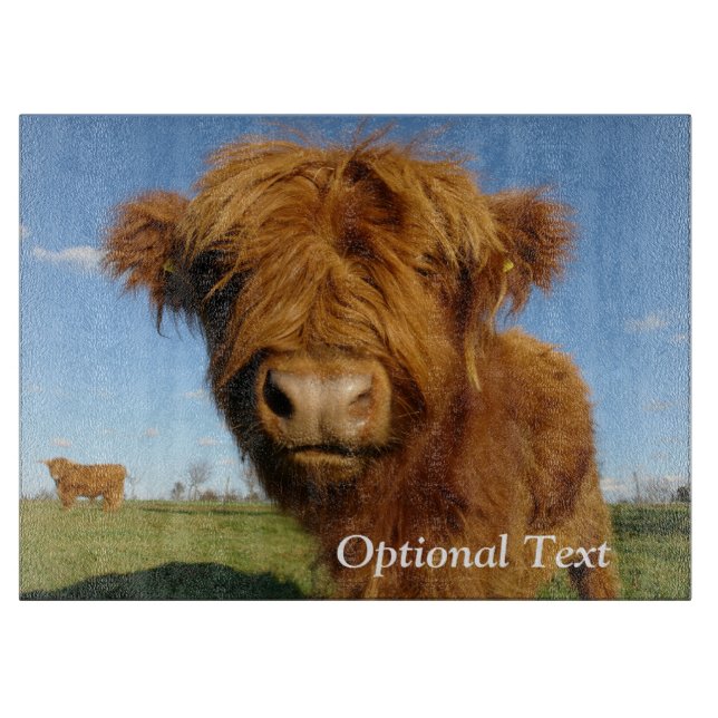 Fluffy Scottish Highland Cow - Blå himmel (Framsidan)