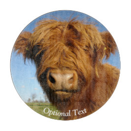 Fluffy Scottish Highland Cow - Blå himmel