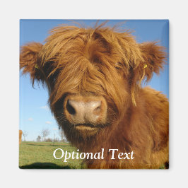 Fluffy Scottish Highland Cow - Blå himmel Magnet