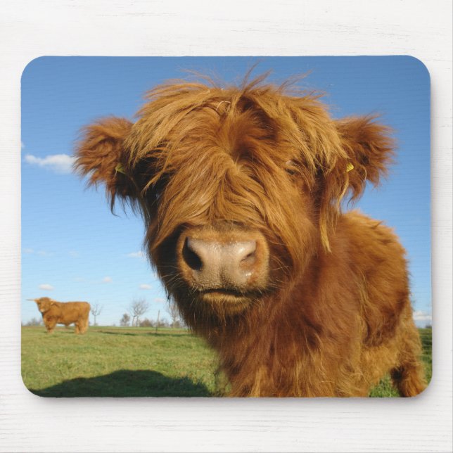 Fluffy Scottish Highland Cow - Blå himmel Musmatta (Framsidan)