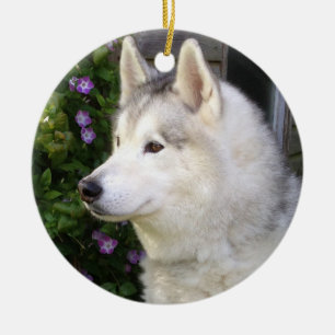 Fluffy Siberian husky Puppy Hund Julgransprydnad Keramik