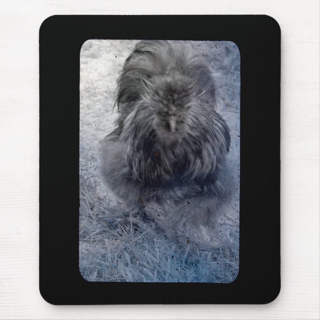 Fluffy Silkie Tupp 2 Musmatta (Framsidan)