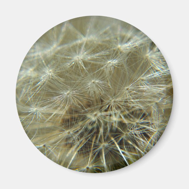 Fluffy Sphere - Magnet (Framsidan)