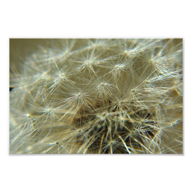 Fluffy Sphere - Photo Fototryck (Framsidan)