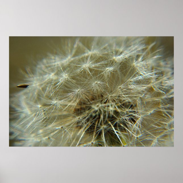 Fluffy Sphere - Poster (Framsidan)