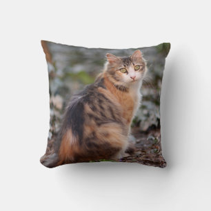 Fluffy Sweet Calico Tabby katt Kudde