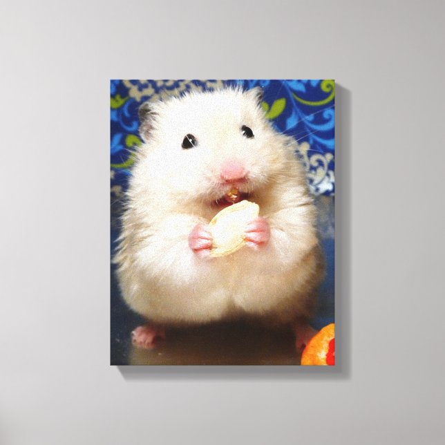Fluffy Syrian Hamster Kokolinka Canvastryck (Framsida)