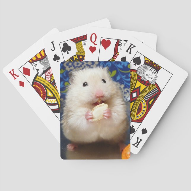 Fluffy Syrian Hamster Kokolinka Kortlek (Baksidan)