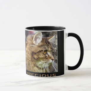 Fluffy TABBY KITTEN Gift Mugg