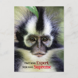 Fluffy Thomas Löv monkey Helg Vykort